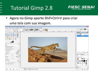 Tutorial Gimp 2.8 
• Agora no Gimp aperte Shif+Ctrl+V para criar 
uma tela com sua imagem. 
 