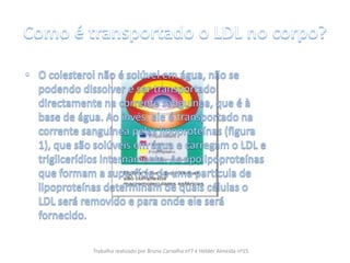 Como é transportado o LDL no corpo?O colesterol não é solúvel em água, não se podendo dissolver e ser transportado directamente na corrente sanguínea, que é à base de água. Ao invés, ele é transportado na corrente sanguínea pelas lipoproteínas (figura 1), que são solúveis em água e carregam o LDL e triglicerídios internamente. As apolipoproteínas que formam a superfície de uma partícula de lipoproteínas determinam de quais células o LDL será removido e para onde ele será fornecido.Trabalho realizado por Bruno Carvalho nº7 e Hélder Almeida nº15