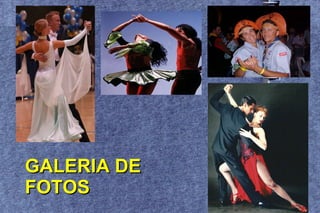 GALERIA DE FOTOS 