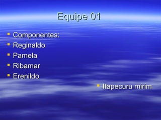 Equipe 01Equipe 01
 Componentes:Componentes:
 ReginaldoReginaldo
 PamelaPamela
 RibamarRibamar
 ErenildoErenildo
 Itapecuru mirimItapecuru mirim
 