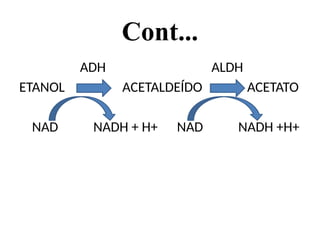 Cont...
ADH ALDH
ETANOL ACETALDEÍDO ACETATO
NAD NADH + H+ NAD NADH +H+
 