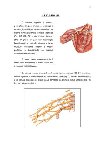 5
PLEXO BRAQUIAL
O membro superior é inervado
pelo plexo braquial situado no pescoço e
na axila, formado por ramos anteriores dos
quatro nervos espinhais cervicais inferiores
(C5, C6, C7, C8) e do primeiro torácico
(T1). O plexo braquial tem localização
lateral à coluna cervical e situa-se entre os
músculos escalenos anterior e médio,
posterior e lateralmente ao músculo
esternocleidomastóideo.
O plexo passa posteriormente à
clavícula e acompanha a artéria axilar sob
o músculo peitoral maior.
Os ramos ventrais do quinto e do sexto nervos cervicais (C5-C6) formam o
tronco superior; o ramo anterior do sétimo nervo cervical (C7) forma o tronco médio;
e os ramos anteriores do oitavo nervo cervical e do primeiro nervo torácico (C8-T1)
formam o tronco inferior.
 