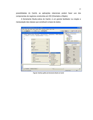 13

possibilidades do Caché, as aplicações relacionais podem fazer uso dos
componentes de negócios construídos em OO (Orientado a Objeto).
      A ferramenta Studio,nativa do Caché, é um grande facilitador na criação e
manipulação das classes que constituem a base de dados.




                    Figura2: Interface gráfica da ferramenta Studio do Cachê
 