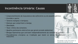 Incontinência Urinária: Causas
• Comprometimento da musculatura dos esfíncteres ou do assoalho pélvico;
• Gravidez e parto;
• Tumores malignos e benignos;
• Doenças que comprimem a bexiga;
• Obesidade;
• Tosse crônica dos fumantes;
• Quadros pulmonares obstrutivos que geram pressão abdominal;
• Bexigas hiperativas que contraem independentemente da vontade do portador;
• Procedimentos cirúrgicos ou irradiação que lesem os nervos do esfíncter
masculino.
 