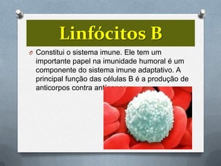 Linfócitos B
O Constitui o sistema imune. Ele tem um
 importante papel na imunidade humoral é um
 componente do sistema imune adaptativo. A
 principal função das células B é a produção de
 anticorpos contra antígenos.
 