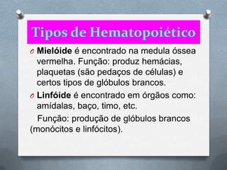 O Mielóide é encontrado na medula óssea
  vermelha. Função: produz hemácias,
  plaquetas (são pedaços de células) e
  certos tipos de glóbulos brancos.
O Linfóide é encontrado em órgãos como:
  amídalas, baço, timo, etc.
  Função: produção de glóbulos brancos
(monócitos e linfócitos).
 