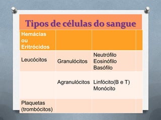 Tipos de células do sangue
  O Hemácias ou eritrócitos
Hemácias
ouO Leucócitos - granulócitos e agranulócitos
Eritrócidos
                              Neutrófilo
Leucócitos    Granulócitos Eosinófilo
                              Basófilo

                Agranulócitos Linfócito(B e T)
                              Monócito

Plaquetas
(trombócitos)
 