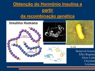 Obtenção do Hormônio Insulina a
partir
da recombinação genética
Benerval Gomes
Ellys Regiane
Alexa Laila
Cleyslani
Leyriane
 