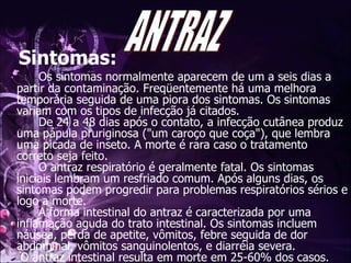 Sintomas: Os sintomas normalmente aparecem de um a seis dias a partir da contaminação. Freqüentemente há uma melhora temporária seguida de uma piora dos sintomas. Os sintomas variam com os tipos de infecção já citados.  De 24 a 48 dias após o contato, a infecção cutânea produz uma pápula pruriginosa ("um caroço que coça"), que lembra uma picada de inseto. A morte é rara caso o tratamento correto seja feito. O antraz respiratório é geralmente fatal. Os sintomas iniciais lembram um resfriado comum. Após alguns dias, os sintomas podem progredir para problemas respiratórios sérios e logo a morte. A forma intestinal do antraz é caracterizada por uma inflamação aguda do trato intestinal. Os sintomas incluem náusea, perda de apetite, vômitos, febre seguida de dor abdominal, vômitos sanguinolentos, e diarréia severa.  O antraz intestinal resulta em morte em 25-60% dos casos.  ANTRAZ 
