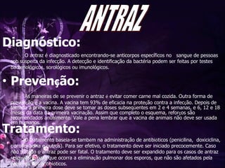 Preven ç ão: As maneiras de se prevenir o antraz  é  evitar comer carne mal cozida. Outra forma de preven ç ão  é  a vacina. A vacina tem 93% de efic á cia na prote ç ão contra a infec ç ão. Depois de tomada a primeira dose deve se tomar as doses subseq ü entes em 2 e 4 semanas, e 6, 12 e 18 meses da data da primeira vacina ç ão. Assim que completo o esquema, refor ç os são recomendados anualmente. Vale a pena lembrar que a vacina de animais não deve ser usada em humanos.  Diagnóstico: O antraz é diagnosticado encontrando-se anticorpos específicos no  sangue de pessoas sob suspeita da infecção. A detecção e identificação da bactéria podem ser feitas por testes bacteriológicos, sorológicos ou imunológicos. Tratamento: O tratamento baseia-se tamb é m na administra ç ão de antibi ó ticos (penicilina,  doxiciclina, ciprofloxacina e outros). Para ser efetivo, o tratamento deve ser iniciado precocemente. Caso não tratado o antraz pode ser fatal. O tratamento deve ser expandido para os casos de antraz respirat ó rio para que ocorra a elimina ç ão pulmonar dos esporos, que não são afetados pela presen ç a dos antibi ó ticos.  ANTRAZ 