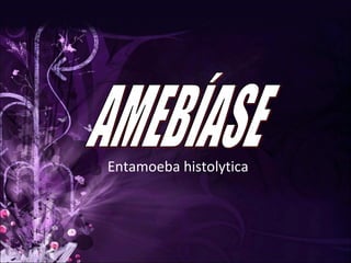 Entamoeba histolytica AMEBÍASE 