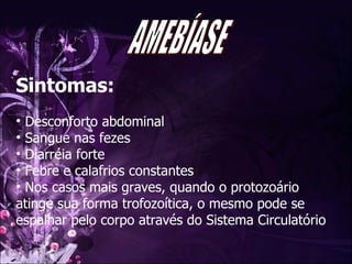 Sintomas: Desconforto abdominal Sangue nas fezes  Diarréia forte Febre e calafrios constantes  Nos casos mais graves, quando o protozoário atinge sua forma trofozoítica, o mesmo pode se espalhar pelo corpo através do Sistema Circulatório AMEBÍASE 