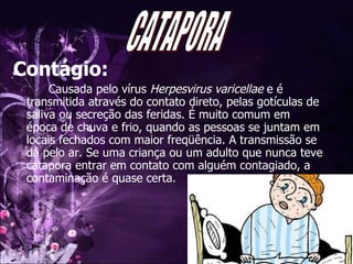 Contágio: Causada pelo vírus  Herpesvirus varicellae  e é transmitida através do contato direto, pelas gotículas de saliva ou secreção das feridas. É muito comum em época de chuva e frio, quando as pessoas se juntam em locais fechados com maior freqüência. A transmissão se dá pelo ar. Se uma criança ou um adulto que nunca teve catapora entrar em contato com alguém contagiado, a contaminação é quase certa.   CATAPORA 