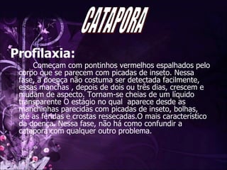 Profilaxia: Começam com pontinhos vermelhos espalhados pelo corpo que se parecem com picadas de inseto. Nessa fase, a doença não costuma ser detectada facilmente, essas manchas , depois de dois ou três dias, crescem e mudam de aspecto. Tornam-se cheias de um líquido transparente O estágio no qual  aparece desde as manchinhas parecidas com picadas de inseto, bolhas, até as feridas e crostas ressecadas.O mais característico da doença. Nessa fase, não há como confundir a catapora com qualquer outro problema.   CATAPORA 