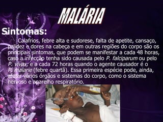 Sintomas: Calafrios, febre alta e sudorese, falta de apetite, cansaço, palidez e dores na cabeça e em outras regiões do corpo são os principais sintomas, que podem se manifestar a cada 48 horas, caso a infecção tenha sido causada pelo  P. falciparum  ou pelo  P. vivax;  e a cada 72 horas quando o agente causador é o  P. malarie  (febre quartã). Essa primeira espécie pode, ainda, afetar vários órgãos e sistemas do corpo, como o sistema nervoso e aparelho respiratório.  MALÁRIA 