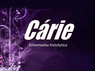 Entamoeba histolytica Cárie 