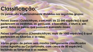 Classificação: 
Os peixes são tradicionalmente divididos nos seguintes grupos: 
Peixes ósseos (Osteichthyes, com mais de 22 000 espécies) à qual 
pertencem as sardinhas, as garoupas, o bacalhau, o atum e, em 
geral, todos os peixes que possuem esqueleto ósseo; 
Peixes cartilaginosos (Chondrichthyes, mais de 1000 espécies) à qual 
pertencem os tubarões e as raias; 
Vários grupos de peixes sem maxilas (antigamente classificados 
como Agnatha ou Cyclostomata, com cerca de 80 espécies), 
incluindo as lampréias e as mixinas. 
 