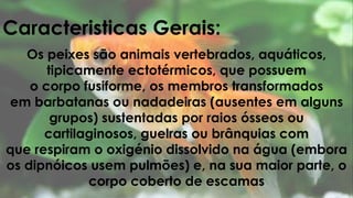 Caracteristicas Gerais: 
Os peixes são animais vertebrados, aquáticos, 
tipicamente ectotérmicos, que possuem 
o corpo fusiforme, os membros transformados 
em barbatanas ou nadadeiras (ausentes em alguns 
grupos) sustentadas por raios ósseos ou 
cartilaginosos, guelras ou brânquias com 
que respiram o oxigénio dissolvido na água (embora 
os dipnóicos usem pulmões) e, na sua maior parte, o 
corpo coberto de escamas 
 
