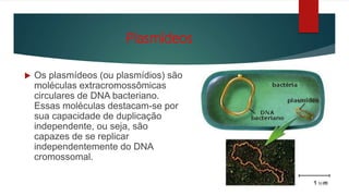 Plasmídeos
 Os plasmídeos (ou plasmídios) são
moléculas extracromossômicas
circulares de DNA bacteriano.
Essas moléculas destacam-se por
sua capacidade de duplicação
independente, ou seja, são
capazes de se replicar
independentemente do DNA
cromossomal.
 