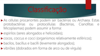 Classificação
 As células procariontes podem ser bactérias ou Archaea. Estas
protobactérias ou protocélulas (Bactérias, Cianofitas e
Micoplasmas) podem assumir a forma:
 espirilos (seres alongados e helicoidais);
 cocos, coccus e cocci (organismos relativamente esféricos);
 bacilos, bacillus e bacilli (levemente alongados);
 vibriões (dobrados em forma de arco ou de vírgula)
 