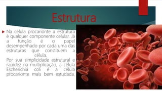 Estrutura
 Na célula procarionte a estrutura
é qualquer componente celular. Já
a função é o papel
desempenhado por cada uma das
estruturas que constituem a
célula.
Por sua simplicidade estrutural e
rapidez na multiplicação, a célula
Escherichia coli é a célula
procarionte mais bem estudada.
 