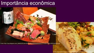 Importância econômica




Fonte: http://3.bp.blogspot.com/_RdhES7fCUdo/TEiXzhp6EgI/AAAAAAAAADU/-F7snQD1Sb0/s1600/sashimi2.jpg




                                                                                        Fonte: http://quitandinhas.com/wp-content/uploads/2010/03/peixe-assado2.jpg
 