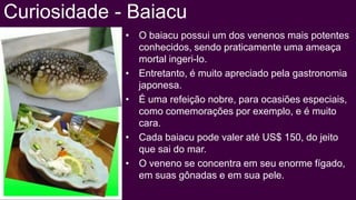 Curiosidade - Baiacu
             • O baiacu possui um dos venenos mais potentes
               conhecidos, sendo praticamente uma ameaça
               mortal ingeri-lo.
             • Entretanto, é muito apreciado pela gastronomia
               japonesa.
             • É uma refeição nobre, para ocasiões especiais,
               como comemorações por exemplo, e é muito
               cara.
             • Cada baiacu pode valer até US$ 150, do jeito
               que sai do mar.
             • O veneno se concentra em seu enorme fígado,
               em suas gônadas e em sua pele.
 