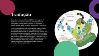 A sequência de nucleotídeos do RNAm (mensageiro) é
"traduzida" em uma sequência de aminoácidos de um
polipeptídeo (cadeia proteica). Ocorre no citoplasma. É
dividida em três fases: iniciação, alongamento e finalização
De uma maneira resumida, podemos dizer que o processo
de síntese proteica ocorre em três etapas: iniciação,
alongamento e finalização. O processo inicia-se quando uma
subunidade ribossomal pequena liga-se ao mRNA no códon
de iniciação, o qual é identificado por uma molécula de tRNA
que transporta metionina. O tRNA possui o anticódon UAC, o
qual se emparelha com o códon AUG, o chamado códon de
início da tradução. Após esse processo, a subunidade
grande do ribossomo liga-se à subunidade pequena,
tornando o ribossomo completo.
Tradução
 