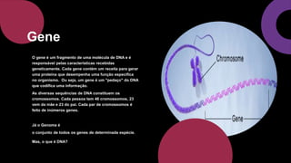 O gene é um fragmento de uma molécula de DNA e é
responsável pelas características recebidas
geneticamente. Cada gene contém um receita para gerar
uma proteína que desempenha uma função específica
no organismo. Ou seja, um gene é um "pedaço" do DNA
que codifica uma informação.
As diversas sequências de DNA constituem os
cromossomos. Cada pessoa tem 46 cromossomos, 23
vem da mãe e 23 do pai. Cada par de cromossomos é
feito de inúmeros genes.
Já o Genoma é
o conjunto de todos os genes de determinada espécie.
Mas, o que é DNA?
Gene
 