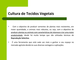 Cultura de Tecidos Vegetais


     Com o objectivo de produzir sementes de plantas mais resistentes, em
    maior quantidade, e animais mais robustos, ou seja, com o objectivo de
    produzir plantas ou animais com características de interesse e ter uma maior
    produtividade, desde há muito tempo que são utilizadas técnicas de
    Reprodução Selectiva.
    É uma ferramenta que está cada vez mais a ganhar o seu espaço no
    mercado agrícola devido às suas diversas vantagens e aplicações.
 