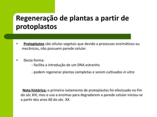 Regeneração de plantas a partir de
protoplastos
    Protoplastos são células vegetais que devido a processos enzimáticos ou
    mecânicos, não possuem parede celular.

    Desta forma:
         - facilita a introdução de um DNA estranho
          - podem regenerar plantas completas e serem cultivados in vitro



     Nota histórica: o primeiro isolamento de protoplastos foi efectuado no fim
    do séc XIX, mas o uso a enzimas para degradarem a parede celular iniciou-se
    a partir dos anos 60 do séc. XX.
 