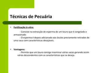 Técnicas de Pecuária
   Fertilização in vitro:
         - Consiste na extracção de esperma de um touro que é congelado e
    armazenado
         - O esperma é depois adicionado aos óvulos previamente retirados de
    uma vaca com características desejáveis.


   Vantagens:
         - Permite que um touro consiga inseminar várias vacas gerando assim
       vários descendentes com as características que se deseja.
 
