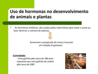 Uso de hormonas no desenvolvimento
de animais e plantas
    As hormonas sintéticas, são usadas pelos veterinários para tratar a asma ou
    fazer diminuir o número de abortos.



                    Aumentam a proporção de massa muscular
                           em relação às gorduras.



    Curiosidade:
        - Uma galinha põe cerca de 180 ovos
        enquanto que uma galinha de aviário
        põe cerca de 280!
 