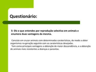 Questionário:

5- Diz o que entendes por reprodução selectiva em animais e
enumera duas vantagens da mesma.

 Consiste em cruzar animais com determinadas caraterísticas, de modo a obter
organismos na geração seguinte com as caraterísticas desejadas.
 Tem como principais vantagens a obtenção de maior descendência, e a obtenção
de animais mais resistentes a doenças e parasitas.
 