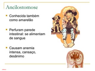 Ancilostomose
 Conhecida também
como amarelão
 Perfuram parede
intestinal: se alimentam
de sangue
 Causam anemia
intensa, cansaço,
desânimo
Jeferson
 