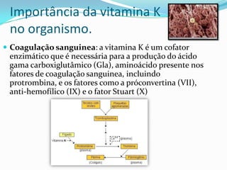 Importância da vitamina K
 no organismo.
 Coagulação sanguinea: a vitamina K é um cofator
 enzimático que é necessária para a produção do ácido
 gama carboxiglutâmico (Gla), aminoácido presente nos
 fatores de coagulação sanguinea, incluindo
 protrombina, e os fatores como a próconvertina (VII),
 anti-hemofílico (IX) e o fator Stuart (X)
 