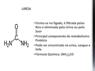 Forma-se no fígado, é filtrada pelos
Rins e eliminada pela Urina ou pelo
Suor
Principal componente do metabolismo
Protéico
Pode ser encontrada na urina, sangue e
linfa
Fórmula Química: (NH2)2CO
 