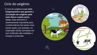 Ciclo do oxigênio
O ciclo do oxigênio é um ciclo
biogeoquímico que garante a
circulação do oxigênio pelo
meio físico e pelos seres
vivos. Esse elemento é
extremamente importante para
a sobrevivência dos seres vivos,
sendo usado, por exemplo, na
respiração celular (processo em
que moléculas são oxidadas e
energia é produzida.
 
