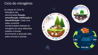 Ciclo do nitrogênio
As etapas do Ciclo do
Nitrogênio são
denominadas fixação,
amonificação, nitrificação e
desnitrificação. Cada uma
delas comporta
transformações distintas do
nitrogênio em seus diferentes
estados e formas,
favorecendo a absorção dele
pelos animais e plantas.
 