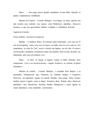 Danos- - Esta praga remove grandes quantidades de área foliar, deixando as
plantas completamente desfolhadas.
Métodos de Controle – Controle Biologico: Com fungos de várias espécies tem
sido testados para controlar essa espécie, como Metharizum anipolidae, Beauveria
bassiana, e o que vem apresentando melhores resultados é o Methairum flavoride.
Lagarta-do-Cartucho
Nome cientifico: Spodoptera frugiperda
Biologia - A mariposa fêmea, de coloração geral acinzentada, com cerca de 25
mm de envergadura, coloca seus ovos em massa, em média cerca de cem a cada vez. Em
temperaturas ao redor de 25oC, ocorre a eclosão das lagartas em três dias. Os insetos
recém-nascidos geralmente permanecem juntos nas primeiras horas de vida, iniciando sua
alimentação pela casca dos próprios ovos.
Danos - no início do ataque, as lagartas raspam as folhas deixando áreas
transparentes. Com o seu desenvolvimento, a lagarta localiza-se no cartucho da planta
destruindo-o.
Métodos de controle – Controle Biológico: o predador Doru luteipes e os
parasitóides Trichogramma spp., Telenomus sp., Chelonus insularis e Campoletis
flavicincta, são importante agentes de controle biológico dessa praga. Várias doenças
também atacam a lagarta, como os fungos Nomuraea rileyii, Botrytis rileyi, Beauveria
globulifera; virus, Baculovirus; bactérias, Bacillus thuringiensis e outros agentes de
menor importância como nematóides e protozoários.
 
