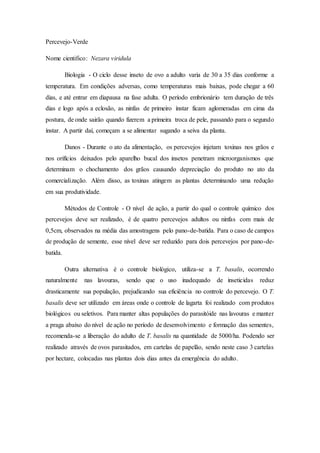 Percevejo-Verde
Nome cientifico: Nezara viridula
Biologia - O ciclo desse inseto de ovo a adulto varia de 30 a 35 dias conforme a
temperatura. Em condições adversas, como temperaturas mais baixas, pode chegar a 60
dias, e até entrar em diapausa na fase adulta. O período embrionário tem duração de três
dias e logo após a eclosão, as ninfas de primeiro ínstar ficam aglomeradas em cima da
postura, de onde sairão quando fizerem a primeira troca de pele, passando para o segundo
ínstar. A partir daí, começam a se alimentar sugando a seiva da planta.
Danos - Durante o ato da alimentação, os percevejos injetam toxinas nos grãos e
nos orifícios deixados pelo aparelho bucal dos insetos penetram microorganismos que
determinam o chochamento dos grãos causando depreciação do produto no ato da
comercialização. Além disso, as toxinas atingem as plantas determinando uma redução
em sua produtividade.
Métodos de Controle - O nível de ação, a partir do qual o controle químico dos
percevejos deve ser realizado, é de quatro percevejos adultos ou ninfas com mais de
0,5cm, observados na média das amostragens pelo pano-de-batida. Para o caso de campos
de produção de semente, esse nível deve ser reduzido para dois percevejos por pano-de-
batida.
Outra alternativa é o controle biológico, utiliza-se a T. basalis, ocorrendo
naturalmente nas lavouras, sendo que o uso inadequado de inseticidas reduz
drasticamente sua população, prejudicando sua eficiência no controle do percevejo. O T.
basalis deve ser utilizado em áreas onde o controle de lagarta foi realizado com produtos
biológicos ou seletivos. Para manter altas populações do parasitóide nas lavouras e manter
a praga abaixo do nível de ação no período de desenvolvimento e formação das sementes,
recomenda-se a liberação do adulto de T. basalis na quantidade de 5000/ha. Podendo ser
realizado através de ovos parasitados, em cartelas de papelão, sendo neste caso 3 cartelas
por hectare, colocadas nas plantas dois dias antes da emergência do adulto.
 