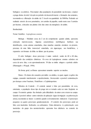 biológicos ou seletivos. Para manter altas populações do parasitóide nas lavouras e manter
a praga abaixo do nível de ação no período de desenvolvimento e formação das sementes,
recomenda-se a liberação do adulto de T. basalis na quantidade de 5000/ha. Podendo ser
realizado através de ovos parasitados, em cartelas de papelão, sendo neste caso 3 cartelas
por hectare, colocadas nas plantas dois dias antes da emergência do adulto.
Bombachudo
Nome Cientifico: Leptoglossus zonatus
Biologia - Medindo cerca de 2 cm de comprimento quando adulto, apresenta
coloração marrom-escura. Algumas características morfológicas facilitam sua
identificação, como antenas amareladas, duas manchas amarelas circulares no pronoto,
presença de uma linha transversal amarelada, em ziguezague, nos hemiélitros, e
expansões em formato de folha no último par de pernas.
O ciclo biológico desse percevejo é muito variável, sendo de 40 a 60 dias,
dependendo das condições climáticas. Os ovos de Leptoglossus zonatus eclodem em
cerca de nove dias, e em aproximadamente 30 dias as ninfas atingem o período adulto
(Matrangolo e Waquil, 1994).
De forma geral, as fêmeas apresentam tamanho superior ao machos.
Danos - Os danos são causados por ninfas ou adultos, os quais sugam os grãos das
espigas, causando murchamento e apodrecimento, favorecendo a possível contaminação
por doenças como Fusarium, Penicillium e Cephalosporium.
Métodos de Controle - O controle natural é feito por parasitóides de ovos,
entretanto, a população desse tipo de praga tem se tornado cada vez mais freqüente no
campo. O controle químico fica limitado pela dificuldade de entrar com o trator no campo.
Quando é possível utilizar outros métodos de aplicação (água de irrigação ou pulverização
aérea), recomenda-se iniciar o controle quando os levantamentos indicarem 12 percevejos
pequenos ou quatro percevejos grandes/panícula . O controle dos percevejos pode ser
feito com inseticidas fosforados ou carbamatos. Outra alternativa é a pulverização com
inseticidas do grupo dos neonicotinoides apresenta boa eficiência no controle do
percevejo.
 