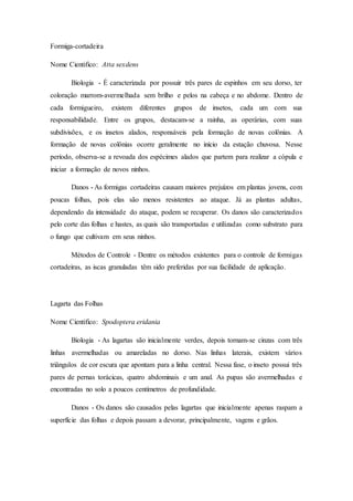 Formiga-cortadeira
Nome Cientifico: Atta sexdens
Biologia - É caracterizada por possuir três pares de espinhos em seu dorso, ter
coloração marrom-avermelhada sem brilho e pelos na cabeça e no abdome. Dentro de
cada formigueiro, existem diferentes grupos de insetos, cada um com sua
responsabilidade. Entre os grupos, destacam-se a rainha, as operárias, com suas
subdivisões, e os insetos alados, responsáveis pela formação de novas colônias. A
formação de novas colônias ocorre geralmente no início da estação chuvosa. Nesse
período, observa-se a revoada dos espécimes alados que partem para realizar a cópula e
iniciar a formação de novos ninhos.
Danos - As formigas cortadeiras causam maiores prejuízos em plantas jovens, com
poucas folhas, pois elas são menos resistentes ao ataque. Já as plantas adultas,
dependendo da intensidade do ataque, podem se recuperar. Os danos são caracterizados
pelo corte das folhas e hastes, as quais são transportadas e utilizadas como substrato para
o fungo que cultivam em seus ninhos.
Métodos de Controle - Dentre os métodos existentes para o controle de formigas
cortadeiras, as iscas granuladas têm sido preferidas por sua facilidade de aplicação.
Lagarta das Folhas
Nome Cientifico: Spodoptera eridania
Biologia - As lagartas são inicialmente verdes, depois tornam-se cinzas com três
linhas avermelhadas ou amareladas no dorso. Nas linhas laterais, existem vários
triângulos de cor escura que apontam para a linha central. Nessa fase, o inseto possui três
pares de pernas torácicas, quatro abdominais e um anal. As pupas são avermelhadas e
encontradas no solo a poucos centímetros de profundidade.
Danos - Os danos são causados pelas lagartas que inicialmente apenas raspam a
superfície das folhas e depois passam a devorar, principalmente, vagens e grãos.
 