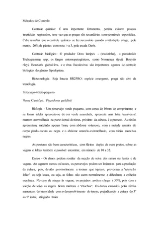 Métodos de Controle:
Controle químico: É uma importante ferramenta, porém, existem poucos
inseticidas registrados, uma vez que as pragas são secundárias com ocorrência esporádica.
Cabe ressaltar que o controle químico se faz necessário quando a infestação atinge, pelo
menos, 20% de plantas com nota ≥ a 3, pela escala Davis.
Controle biológico: O predador Doru luteipes - (tesourinha), o parasitoide
Trichogramma spp., os fungos entomopatogênicos, como Nomuraea rileyii, Botrytis
rileyi, Beauveria globulifera, e o vírus Baculovirus são importantes agentes de controle
biológico do gênero Spodoptera.
Biotecnologia: Soja Intacta RR2PRO: espécie emergente, praga não alvo da
tecnologia.
Percevejo-verde-pequeno
Nome Cientifico: Piezodorus guildinii
Biologia - Um percevejo verde pequeno, com cerca de 10mm de comprimento e
na forma adulta apresenta-se de cor verde amarelada, apresenta uma listra transversal
marrom avermelhada na parte dorsal do tórax, próximo da cabeça, é o pronoto. As ninfas
apresentam, medindo apenas 1mm, com abdome volumoso, com a metade anterior do
corpo pardo-escura ou negra e o abdome amarelo-avermelhado, com várias manchas
negras.
As posturas são bem características, com fileiras duplas de ovos pretos, sobre as
vagens e folhas também e possível encontrar, em número de 10 a 32.
Danos - Os danos podem resultar da sucção de seiva dos ramos ou hastes e de
vagens. Ao sugarem ramos ou hastes, os percevejos podem ser limitantes para a produção
da cultura, pois, devido provavelmente a toxinas que injetam, provocam a "retenção
foliar" ou soja louca, ou seja, as folhas não caem normalmente e dificultam a colheita
mecânica. No caso de ataque às vagens, os prejuízos podem chegar a 30%, pois com a
sucção de seiva as vagens ficam marrons e "chochas". Os danos causados pelas ninfas
aumentam de intensidade com o desenvolvimento do inseto, prejudicando a cultura do 3º
ao 5º instar, atingindo 8mm.
 