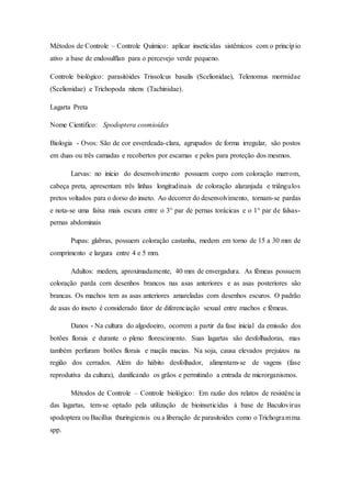 Métodos de Controle – Controle Químico: aplicar inseticidas sistêmicos com o princípio
ativo a base de endosulflan para o percevejo verde pequeno.
Controle biológico: parasitóides Trissolcus basalis (Scelionidae), Telenomus mormidae
(Scelionidae) e Trichopoda nitens (Tachinidae).
Lagarta Preta
Nome Cientifico: Spodoptera cosmioides
Biologia - Ovos: São de cor esverdeada-clara, agrupados de forma irregular, são postos
em duas ou três camadas e recobertos por escamas e pelos para proteção dos mesmos.
Larvas: no início do desenvolvimento possuem corpo com coloração marrom,
cabeça preta, apresentam três linhas longitudinais de coloração alaranjada e triângulos
pretos voltados para o dorso do inseto. Ao decorrer do desenvolvimento, tornam-se pardas
e nota-se uma faixa mais escura entre o 3° par de pernas torácicas e o 1° par de falsas-
pernas abdominais
Pupas: glabras, possuem coloração castanha, medem em torno de 15 a 30 mm de
comprimento e largura entre 4 e 5 mm.
Adultos: medem, aproximadamente, 40 mm de envergadura. As fêmeas possuem
coloração parda com desenhos brancos nas asas anteriores e as asas posteriores são
brancas. Os machos tem as asas anteriores amareladas com desenhos escuros. O padrão
de asas do inseto é considerado fator de diferenciação sexual entre machos e fêmeas.
Danos - Na cultura do algodoeiro, ocorrem a partir da fase inicial da emissão dos
botões florais e durante o pleno florescimento. Suas lagartas são desfolhadoras, mas
também perfuram botões florais e maçãs macias. Na soja, causa elevados prejuízos na
região dos cerrados. Além do hábito desfolhador, alimentam-se de vagens (fase
reprodutiva da cultura), danificando os grãos e permitindo a entrada de microrganismos.
Métodos de Controle – Controle biológico: Em razão dos relatos de resistência
das lagartas, tem-se optado pela utilização de bioinseticidas à base de Baculovirus
spodoptera ou Bacillus thuringiensis ou a liberação de parasitoides como o Trichogramma
spp.
 