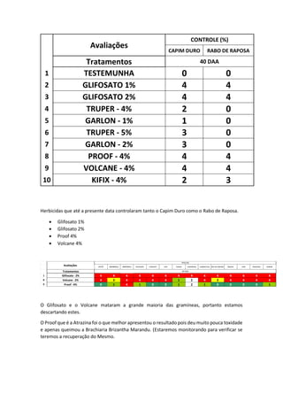 Avaliações
CONTROLE (%)
CAPIM DURO RABO DE RAPOSA
Tratamentos 40 DAA
1 TESTEMUNHA 0 0
2 GLIFOSATO 1% 4 4
3 GLIFOSATO 2% 4 4
4 TRUPER - 4% 2 0
5 GARLON - 1% 1 0
6 TRUPER - 5% 3 0
7 GARLON - 2% 3 0
8 PROOF - 4% 4 4
9 VOLCANE - 4% 4 4
10 KIFIX - 4% 2 3
Herbicidas que até a presente data controlaram tanto o Capim Duro como o Rabo de Raposa.
 Glifosato 1%
 Glifosato 2%
 Proof 4%
 Volcane 4%
O Glifosato e o Volcane mataram a grande maioria das gramíneas, portanto estamos
descartando estes.
O Proof que é a Atrazina foi o que melhor apresentou o resultado pois deu muito pouca toxidade
e apenas queimou a Brachiaria Brizantha Marandu. (Estaremos monitorando para verificar se
teremos a recuperação do Mesmo.
PIATÃ MOMBAÇA MARANDU PAIAGUÁS CONVERT TUPI TANGO CANARANA HUMIDICOLA RIO DE JANEIRO MASSAI ZURI TANZANIA XARAÉS
Tratamentos
1 Glifosato - 2% 4 4 4 4 4 4 4 4 4 4 4 4 4 4
8 Volcane - 2% 4 3 4 4 4 4 1 2 4 3 4 4 4 4
9 Proof - 4% 0 1 4 1 0 0 1 2 1 0 0 0 0 1
40 DAA
Avaliações
FITO (%)
 