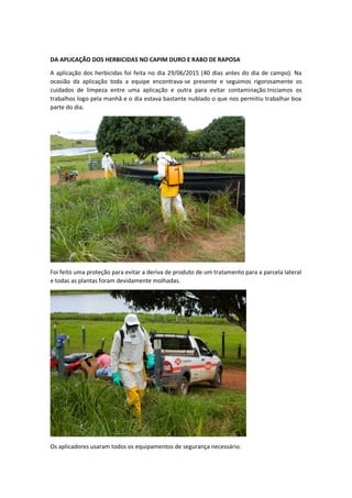 DA APLICAÇÃO DOS HERBICIDAS NO CAPIM DURO E RABO DE RAPOSA
A aplicação dos herbicidas foi feita no dia 29/06/2015 (40 dias antes do dia de campo). Na
ocasião da aplicação toda a equipe encontrava-se presente e seguimos rigorosamente os
cuidados de limpeza entre uma aplicação e outra para evitar contaminação.Iniciamos os
trabalhos logo pela manhã e o dia estava bastante nublado o que nos permitiu trabalhar boa
parte do dia.
Foi feito uma proteção para evitar a deriva de produto de um tratamento para a parcela lateral
e todas as plantas foram devidamente molhadas.
Os aplicadores usaram todos os equipamentos de segurança necessário.
 