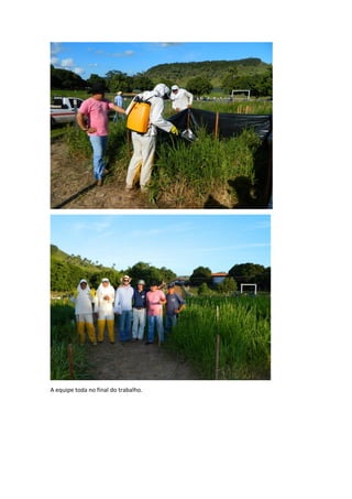 A equipe toda no final do trabalho.
 