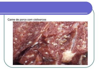 Carne de porco com cisticercos 