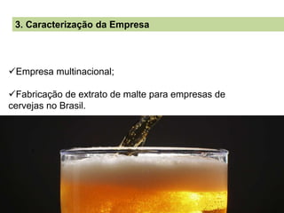 3. Caracterização da Empresa
Empresa multinacional;
Fabricação de extrato de malte para empresas de
cervejas no Brasil.
 